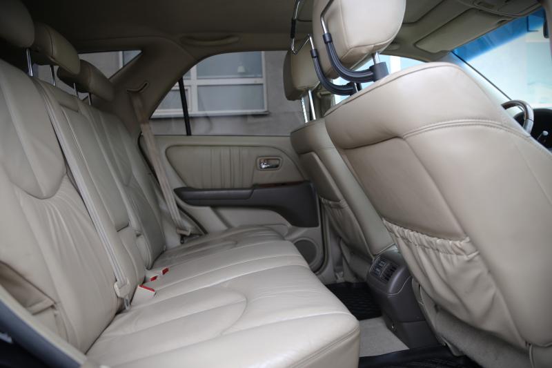 Lexus - RX 300 - pic15